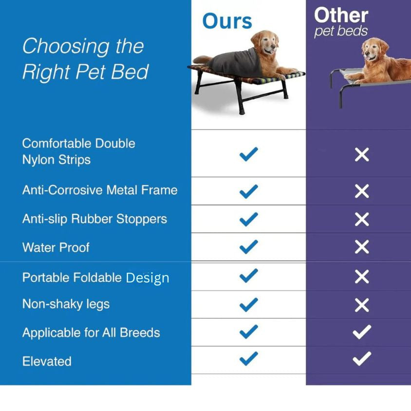 Folding Elevated Cat & Dog Bed | All Seasons Comfort with Breathable Nylon Mesh I Anti-Skid & Waterproof