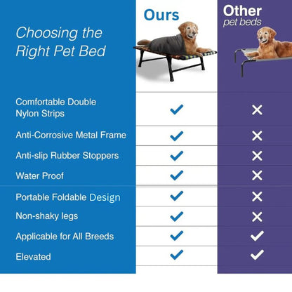 Folding Elevated Cat & Dog Bed | All Seasons Comfort with Breathable Nylon Mesh I Anti-Skid & Waterproof