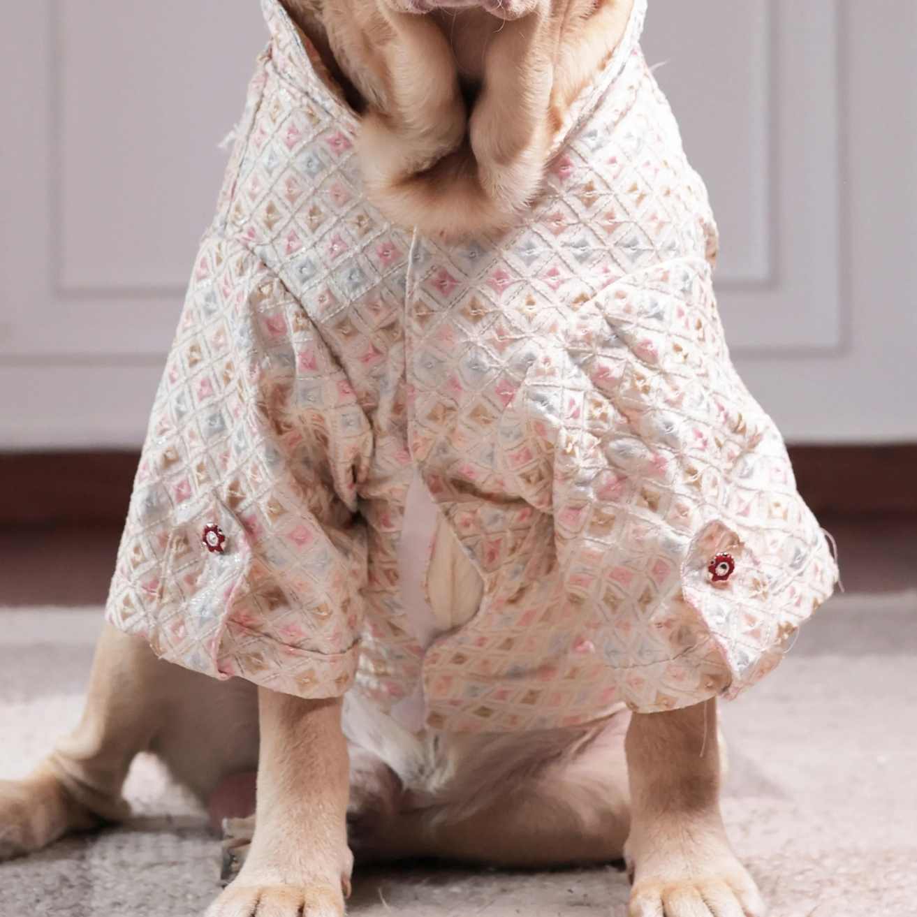 Premium Pastel Designer Dog Kurta | Festive Ethnic Wear for Dogs