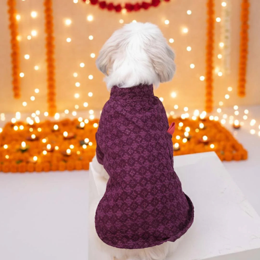 Maroon Majesty Chikankari Kurta for dogs