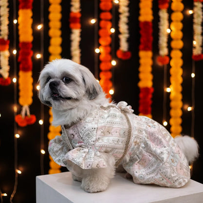 Joyful Step Designer Lehenga for Dogs
