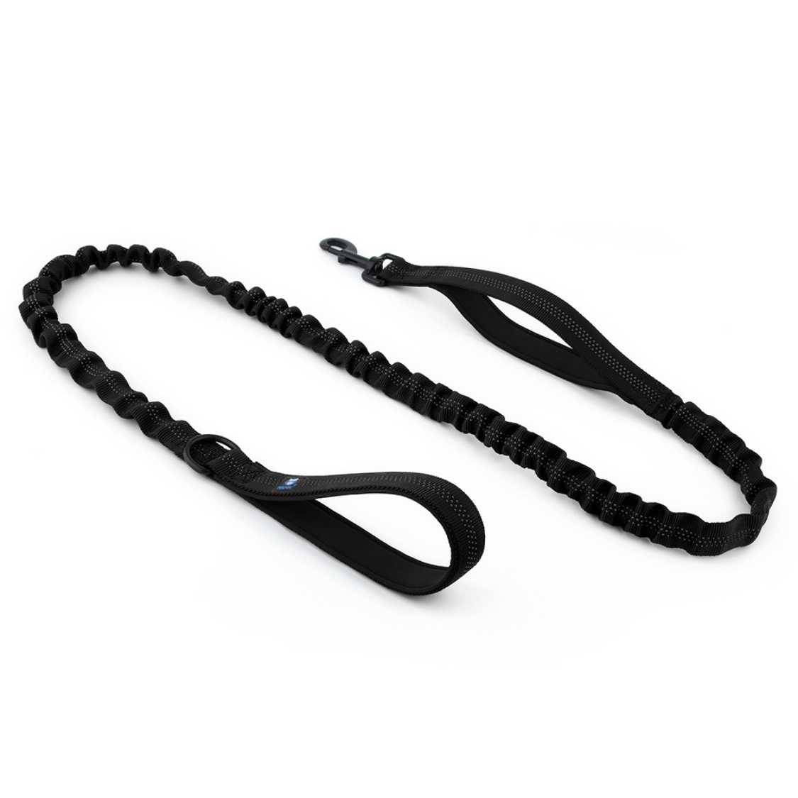 Dog Black Leash