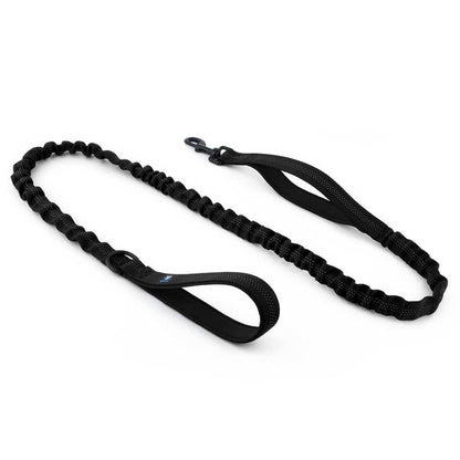 Dog Black Leash