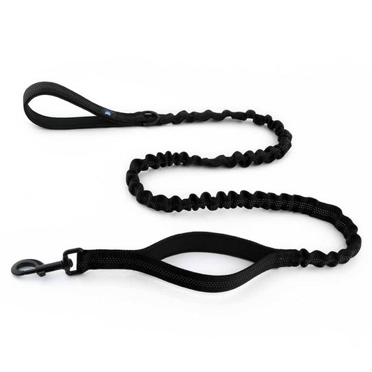 Dog Black Leash