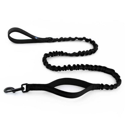 Dog Black Leash