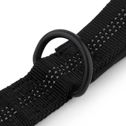 Dog Durable D Ring Leash