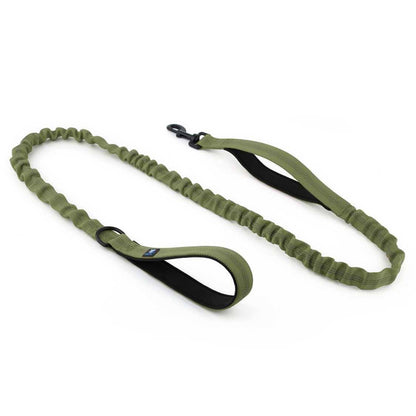 Dog Leash