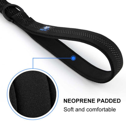 Dog Padded Leash