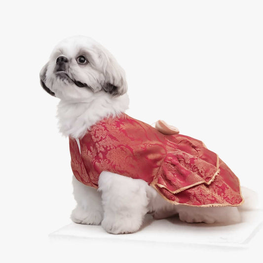 Maharani Pet Lehenga – Royal Designer Ethnic Wear for Dogs