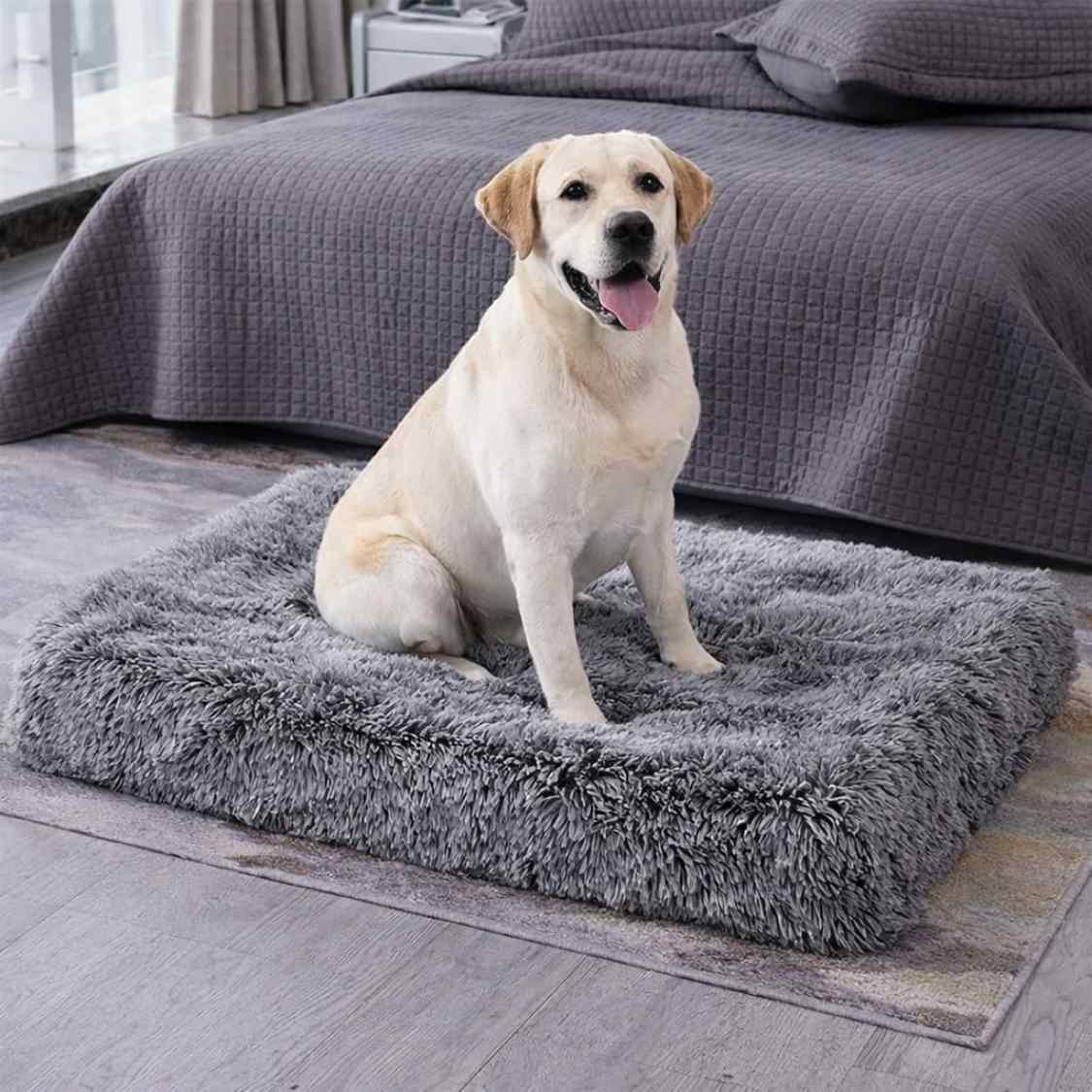 High Density Rebond Foam Pet Bed | Soft Washable Grey (Large)