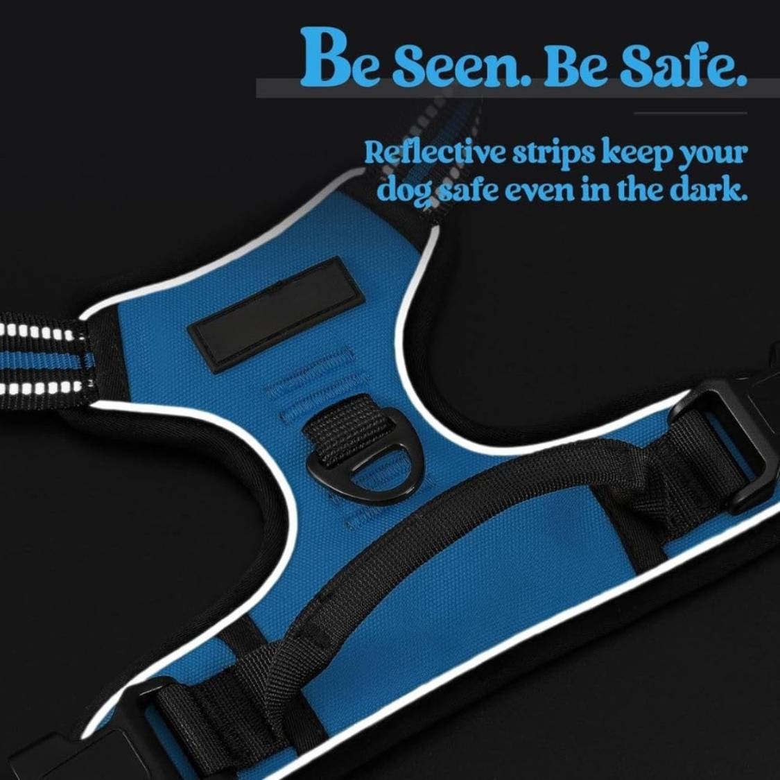 Dog Harness & Leash Set | Reflective No Pull Harness for All Sizes (Cyan Blue)