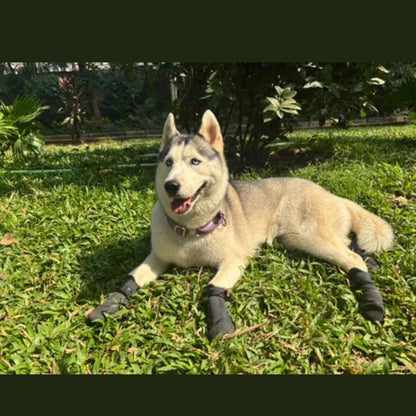 Waterproof Dog Shoes for Paw Protection | Anti Slip Outdoor Boots