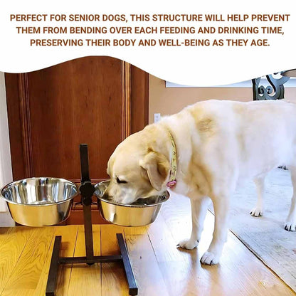 Adjustable Dog Bowl Stand with Double Stainless Steel Bowls | Elevated Dog Feeder
