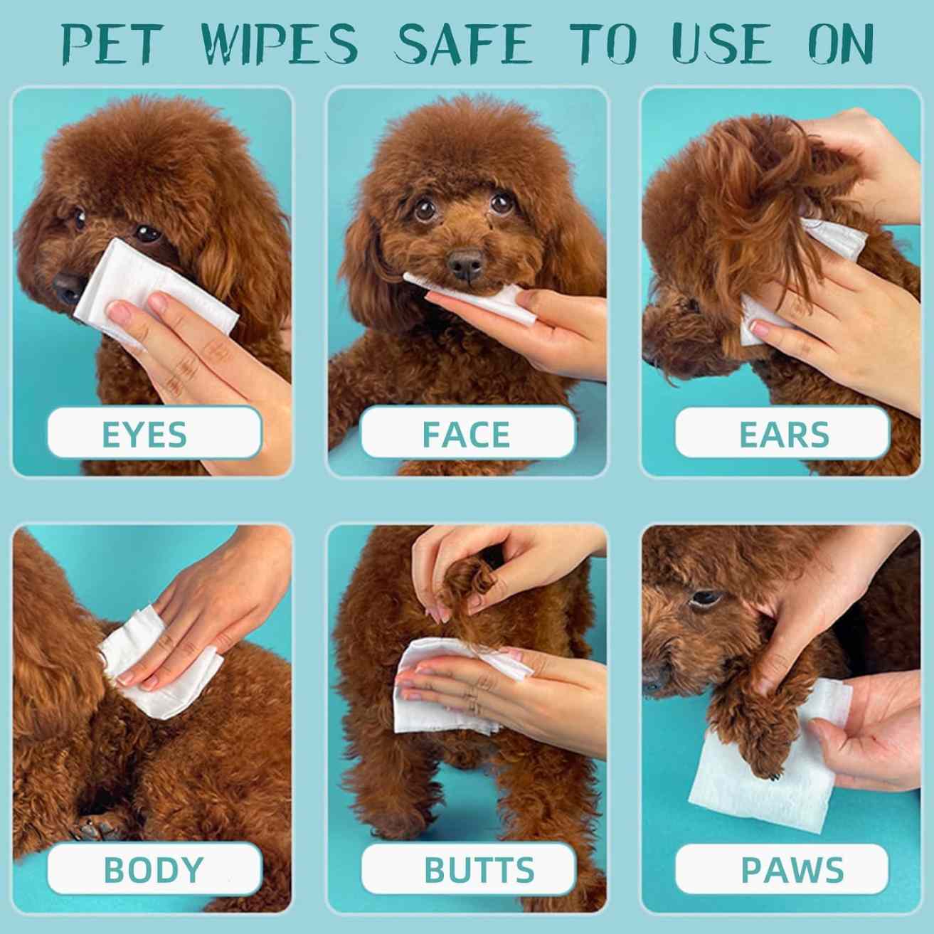 Antibacterial Pet Wet Wipes for Dogs & Cats (80 Pcs)
