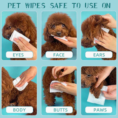 Antibacterial Pet Wet Wipes for Dogs & Cats (80 Pcs)