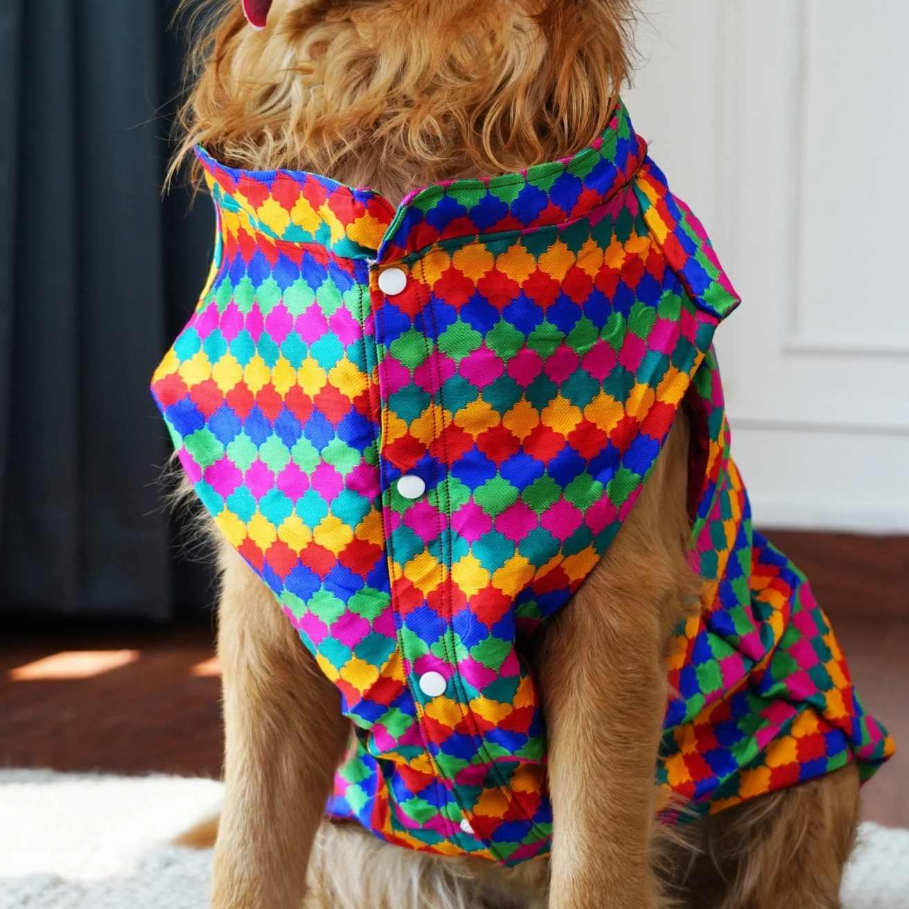Multicolor Geometric Dog Kurta | Designer Party Wear for Dogs