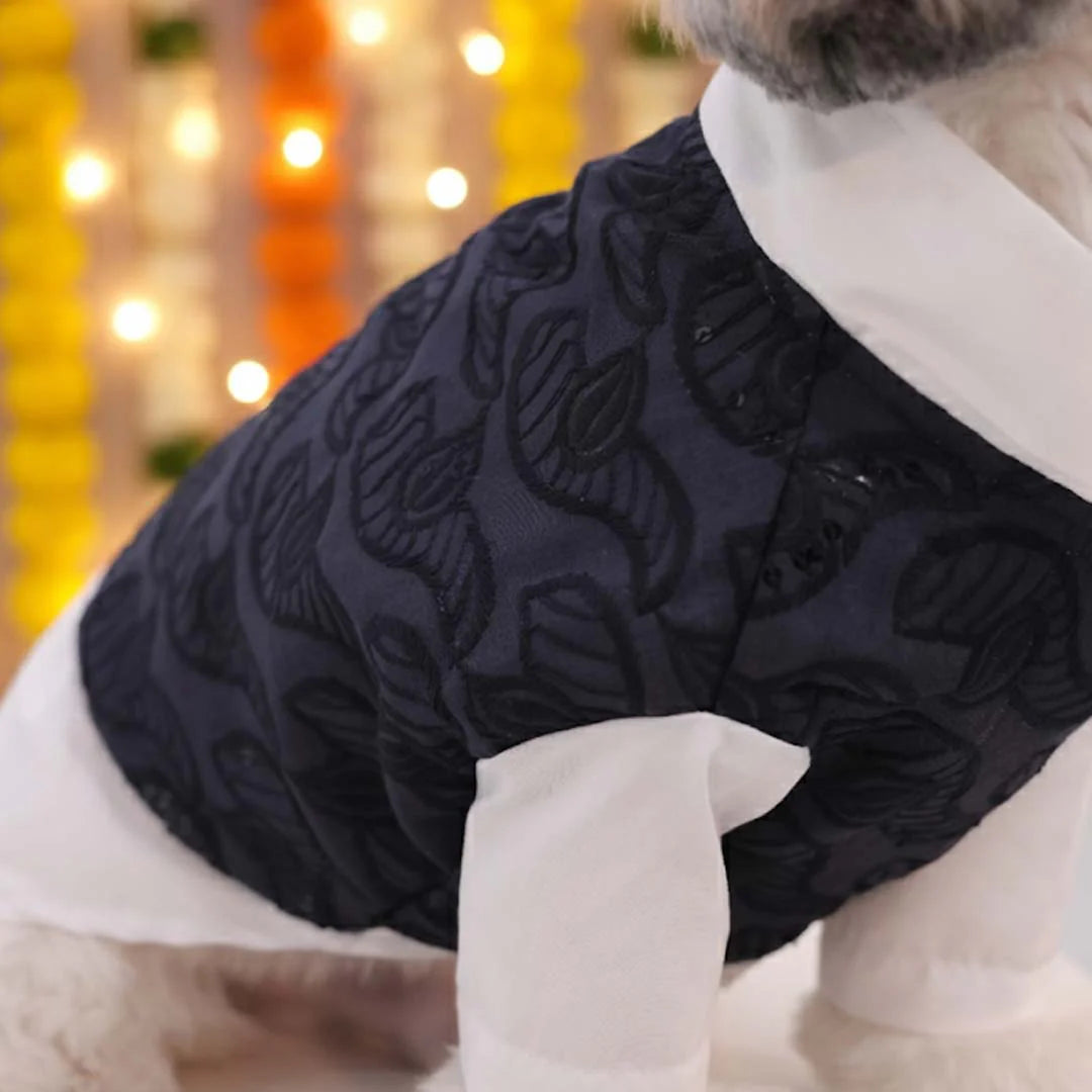 Royal Blue Modi Kurta for Dogs