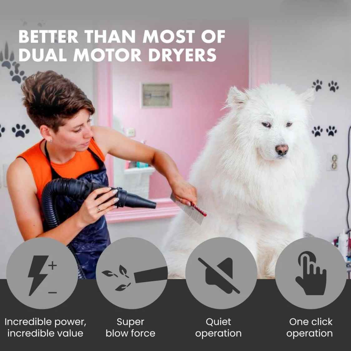 Professional Dog Dryer Blaster | Single Motor Pet Grooming Machine