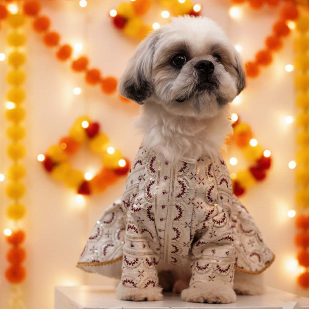 Ruby Starlight Lehenga for Dogs | Designer Festive Pet Wear