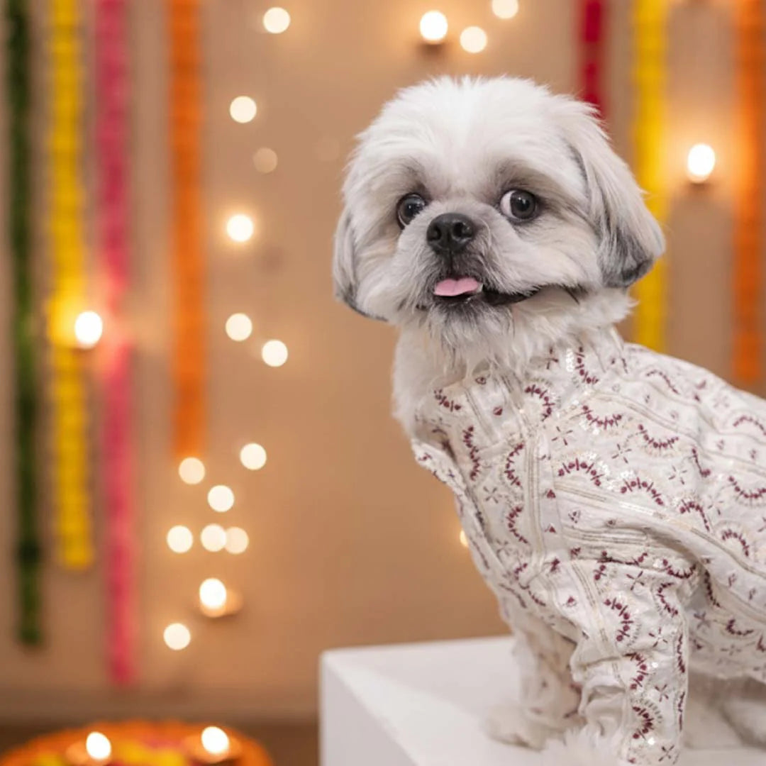 Festive Glory Kurta | White Red Designer Kurta for Dogs