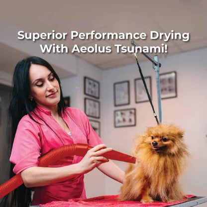 Tsunami Pet Dryer | Single Motor Dog Grooming Blower Machine