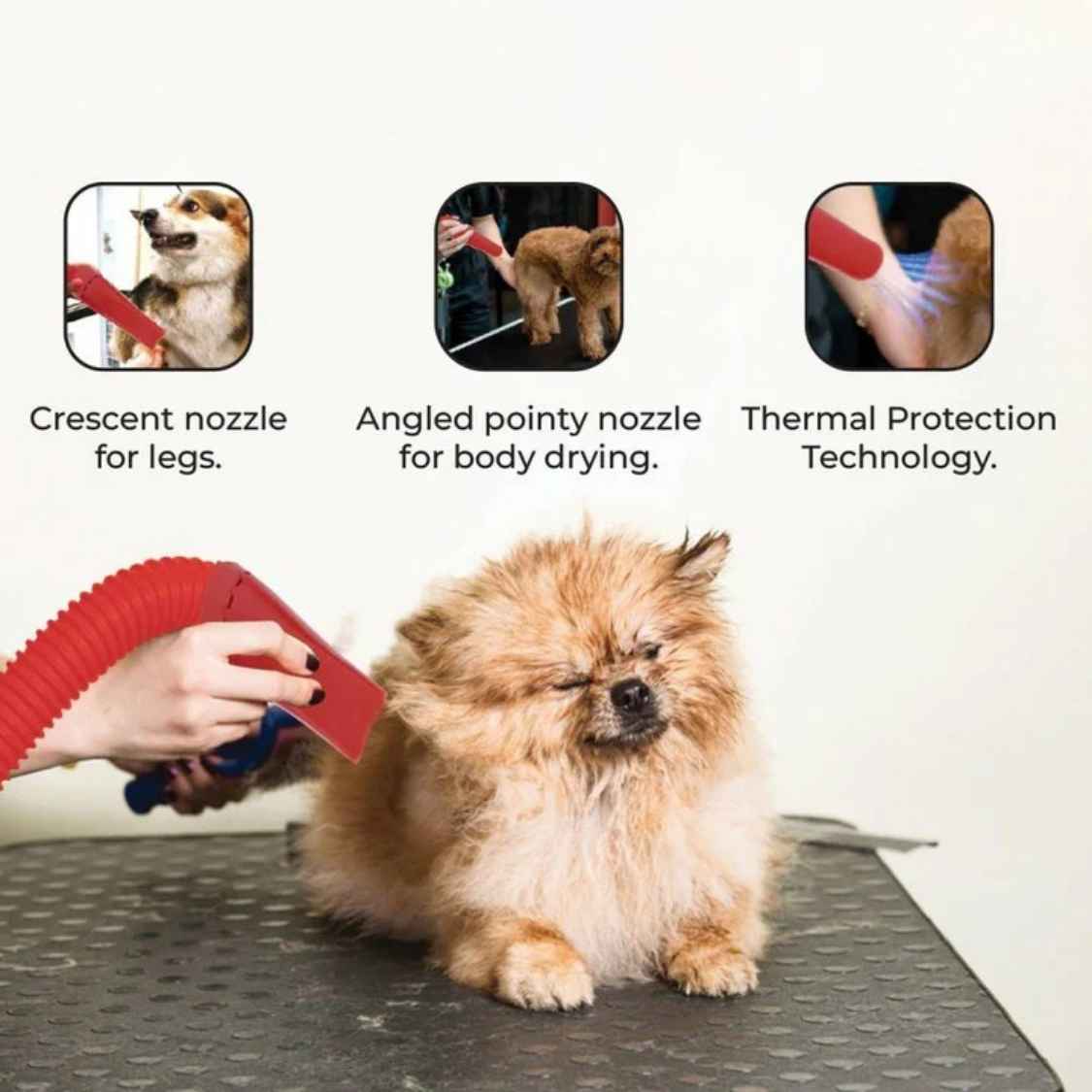 Tsunami Pet Dryer | Single Motor Dog Grooming Blower Machine