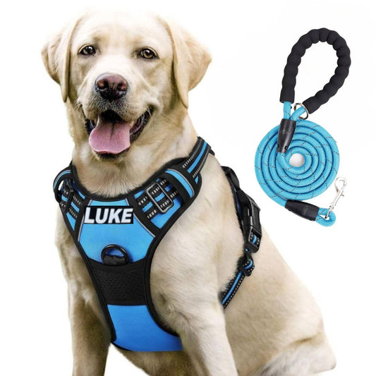 Dog Harness with Name Tag | Reflective No Pull Harness & Leash for All Sizes (Cyan Blue)