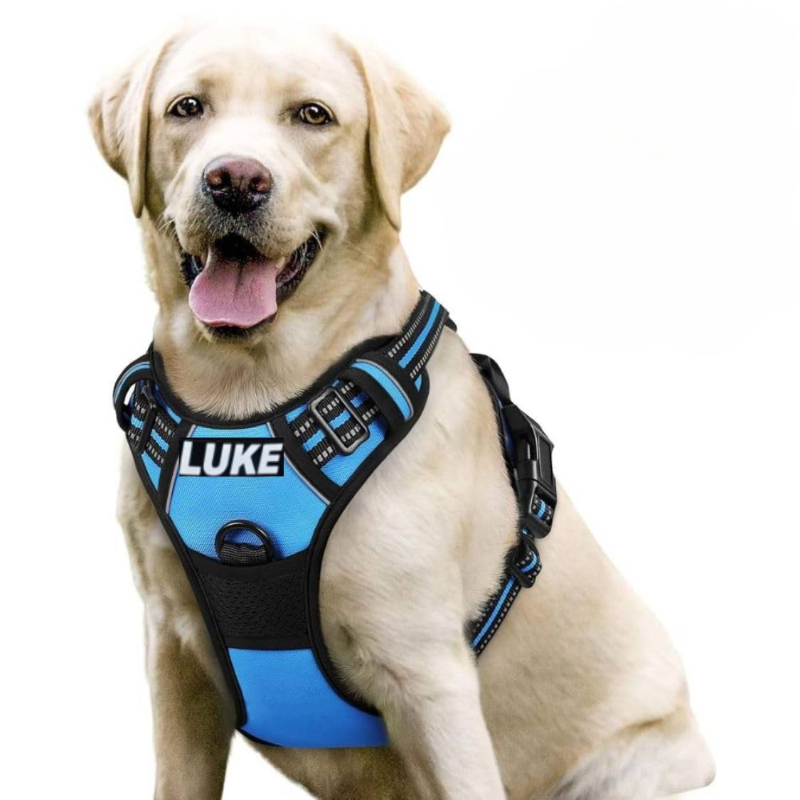 Personalized Dog Harness | Reflective No Pull Harness for All Sizes (Cyan Blue)