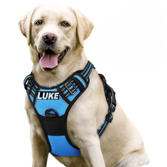 Dog Harness with Name Tag | Reflective No Pull Harness for All Sizes (Cyan Blue)