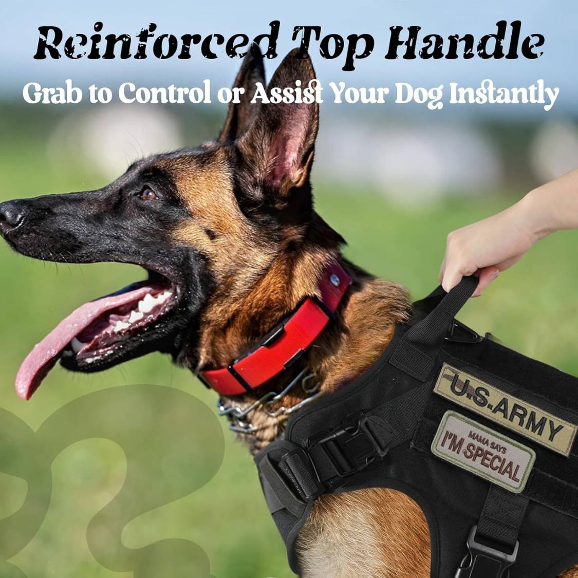 Personalized Tactical Dog Harness for Small, Medium & Large Breeds