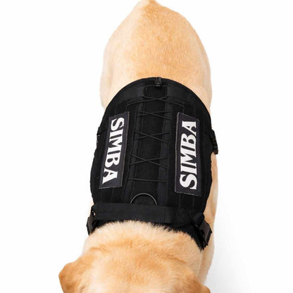 Customized Dog Harness Name Patches (Pack Of 2)