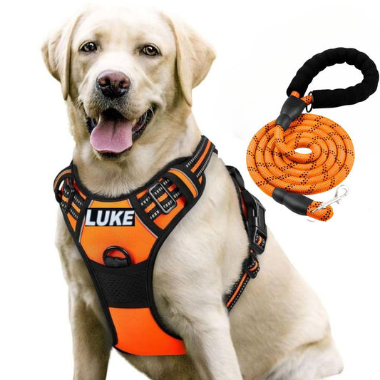 Dog Harness with Name Tag | Reflective No Pull Harness & Leash for All Sizes (Orange)