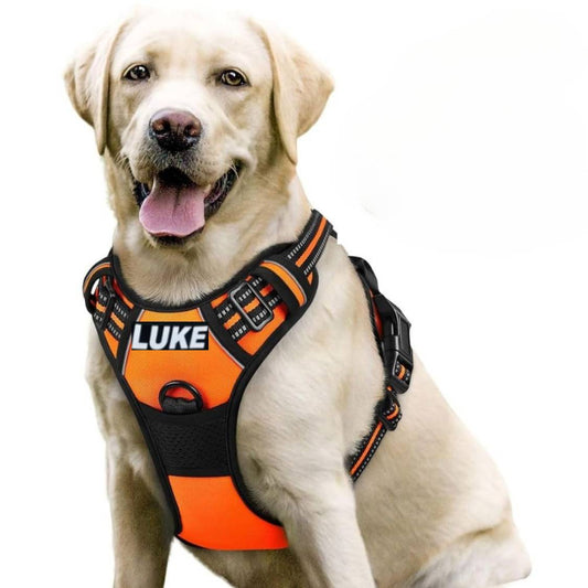 Dog Harness with Name Tag | Reflective No Pull Harness for All Sizes (Orange)