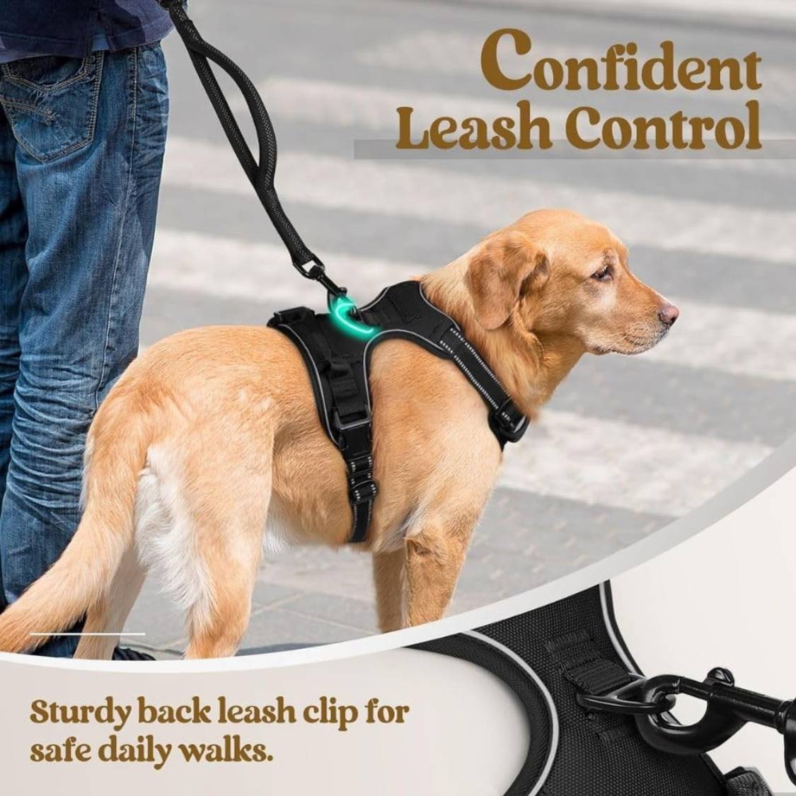 Dog Harness & Leash Set | Reflective No Pull Harness for All Sizes (Black)