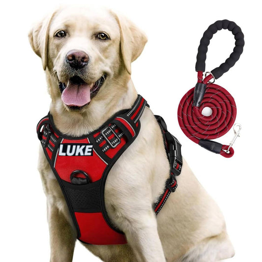 Dog Harness with Name Tag | Reflective No Pull Harness & Leash for All Sizes (Red)