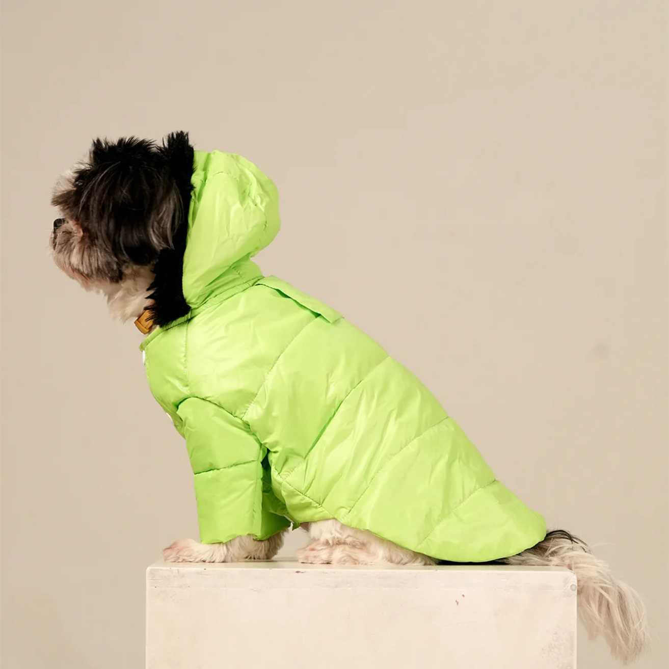 Neon Nibble Pet Hoodie | Stylish & Warm Pet Hoodie