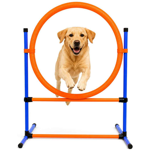 Trixie Adjustable Dog Agility Jump Ring | Training Hoop for Active Dogs