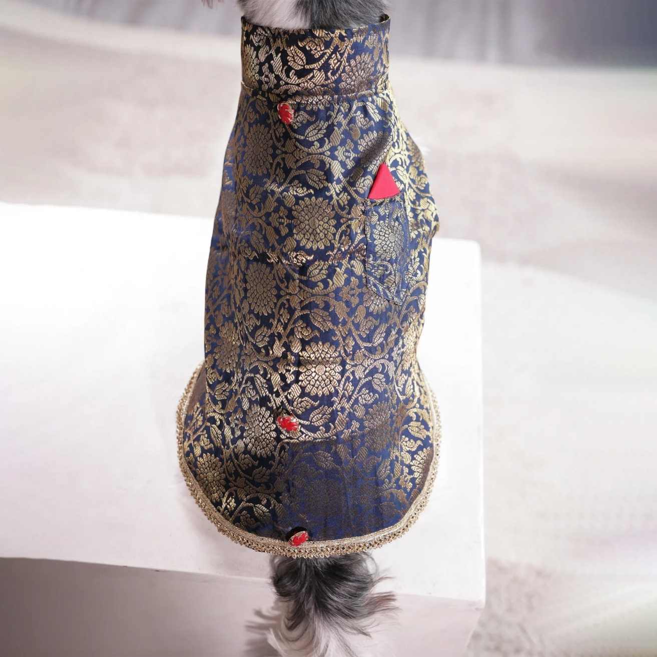 Royal Brocade Dog Kurta | Luxury Wedding & Festive Ethnic Wear (Navy & Gold)