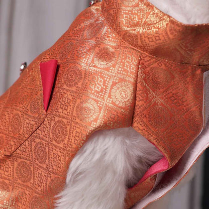 Royal Brocade Dog Kurta | Premium Festive Ethnic Wear for Dogs (Orange)