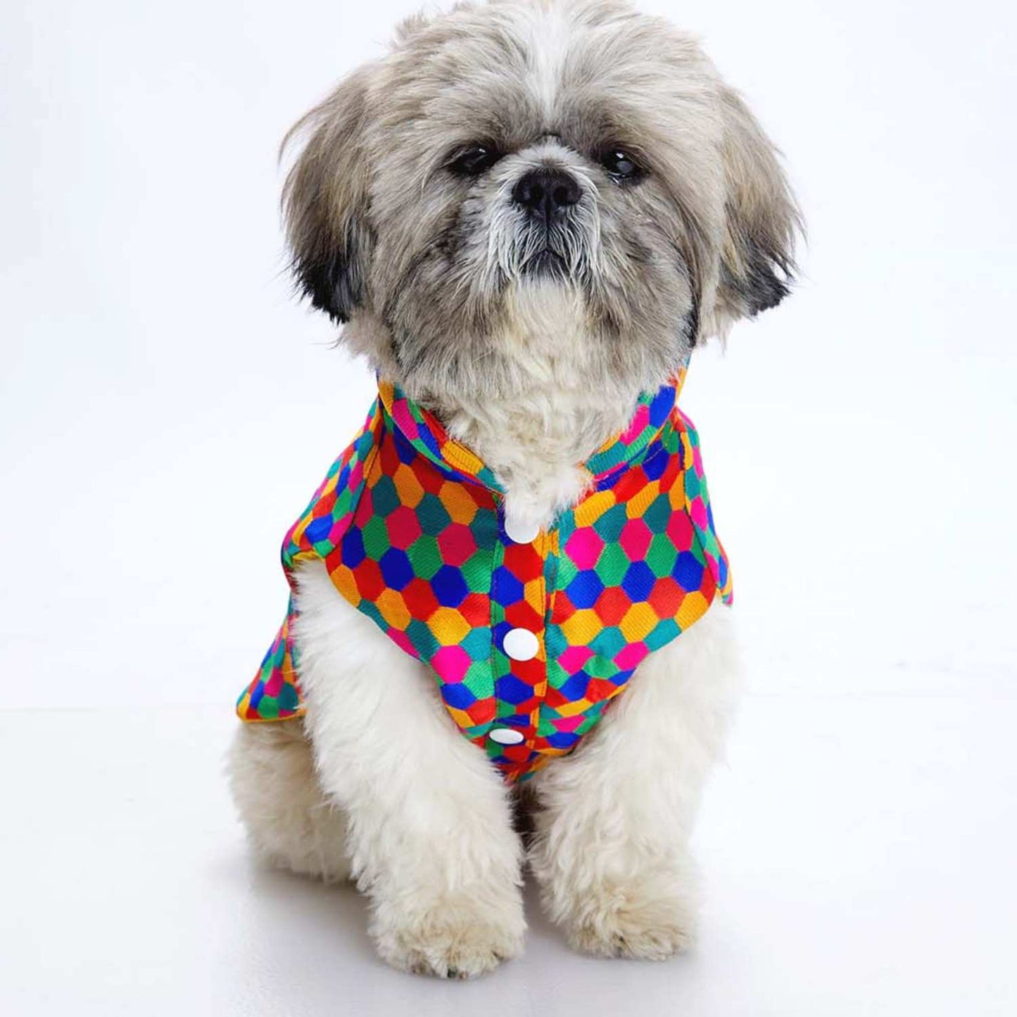 Polka Dots Kurta for Dogs – Elegant Festive Ethnic Outfit for Pets