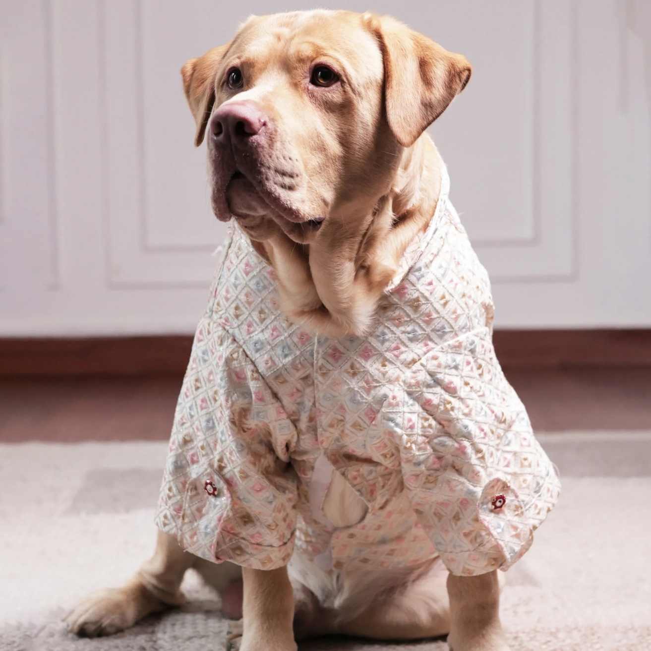 Premium Pastel Designer Dog Kurta | Festive Ethnic Wear for Dogs