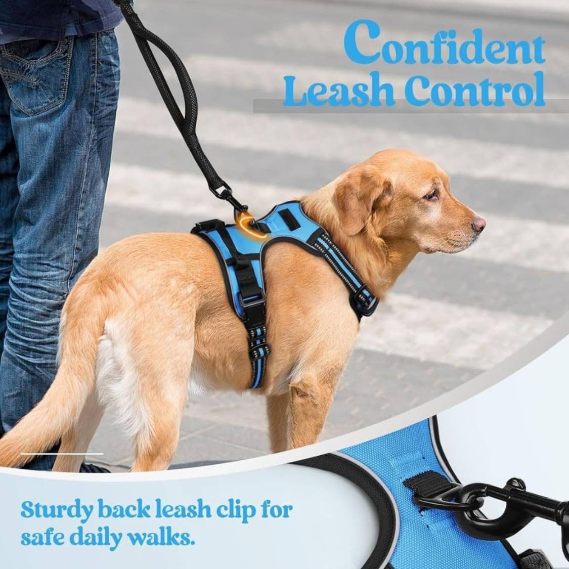 Dog Harness & Leash Set | Reflective No Pull Harness for All Sizes (Cyan Blue)