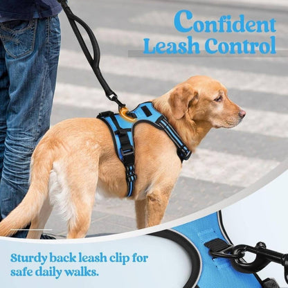 Dog Harness & Leash Set | Reflective No Pull Harness for All Sizes (Cyan Blue)