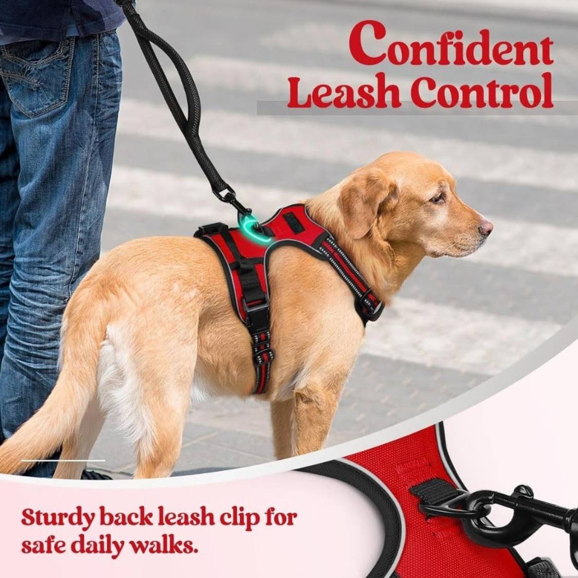 Dog Harness & Leash Set | Reflective No Pull Harness for All Sizes (Red)