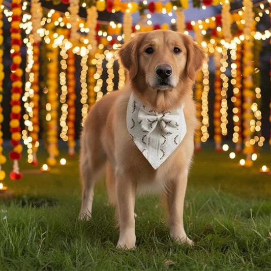 Scarlet Spark Dog Bandana | Comfortable Adjustable Festive Wear