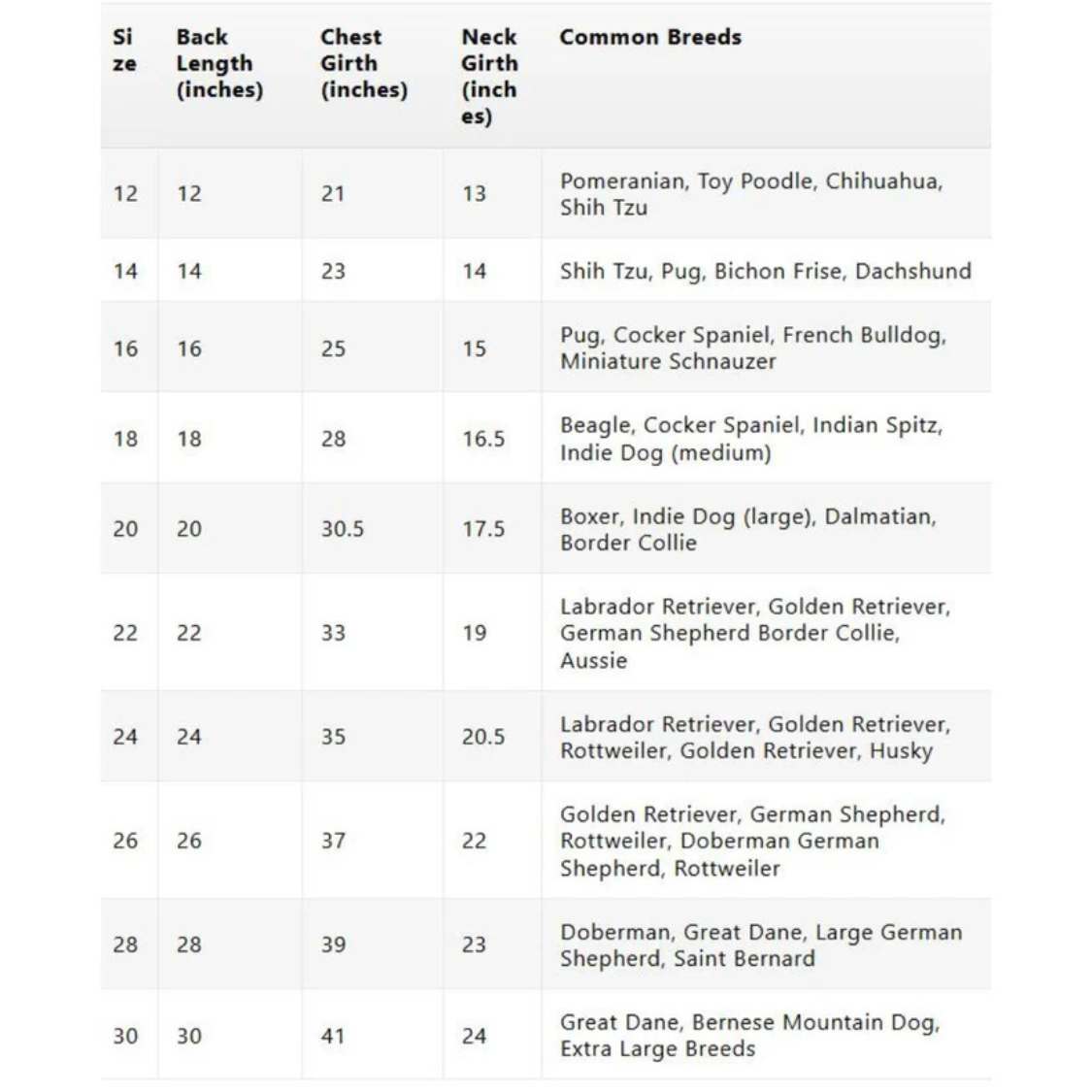 RangMahal Printed Ethnic Dog Kurta | Full Sleeve Wedding & Festive Wear