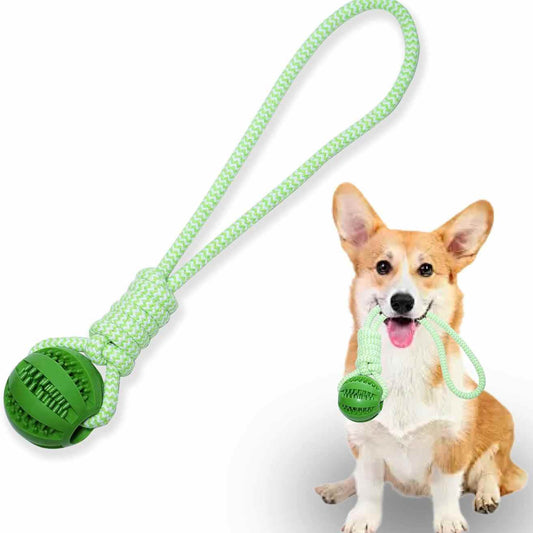 Dog Rope Toy with Rubber Ball | Tug & Chew for Puppies