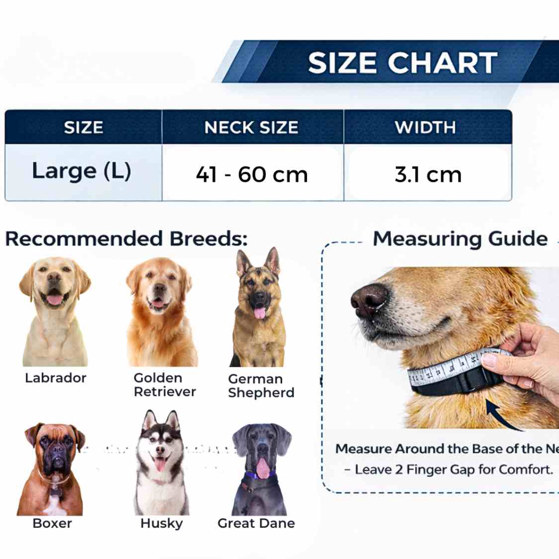 Pet Collar With QR Code | Smart ID Safety Collar For Dogs (Blue)