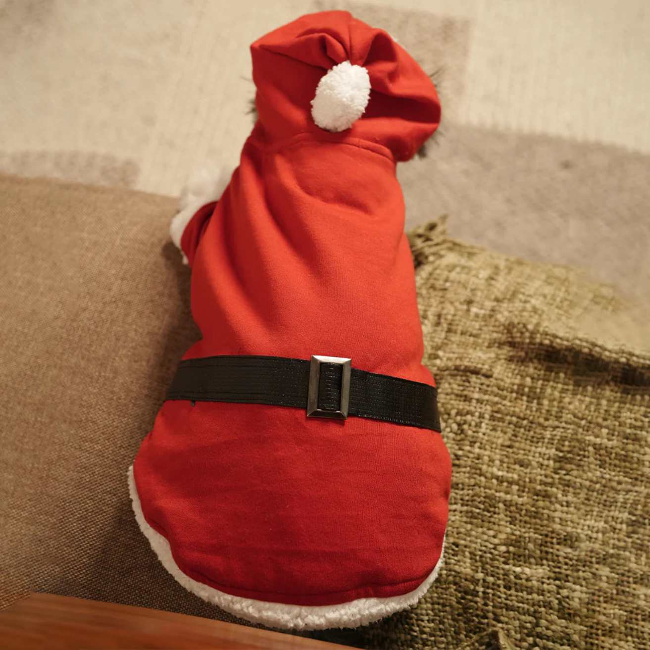 Santa Paws Hoodie | Festive Red Fleece Pet Hoodie