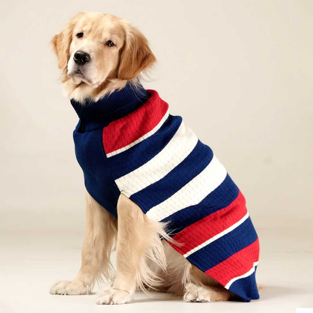 CruiseLine Knit Sweater | Classic Navy Winter Pet Sweater